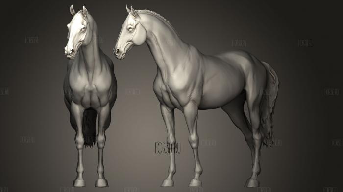 3D скульптура лошади 3d stl модель для ЧПУ